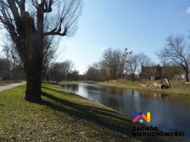 Zadbane Mieszkanie w centrum Międzyrzecza